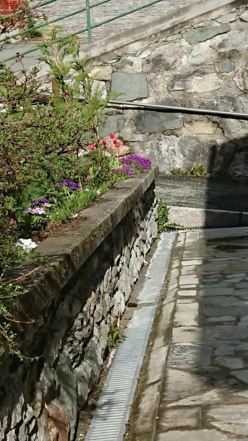 B&B Maison Odille Valtournenche Dış mekan fotoğraf