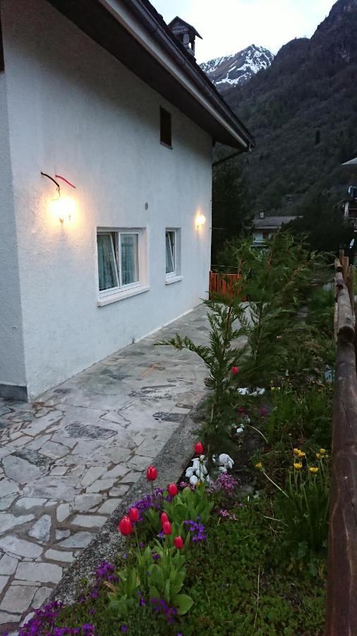 B&B Maison Odille Valtournenche Dış mekan fotoğraf