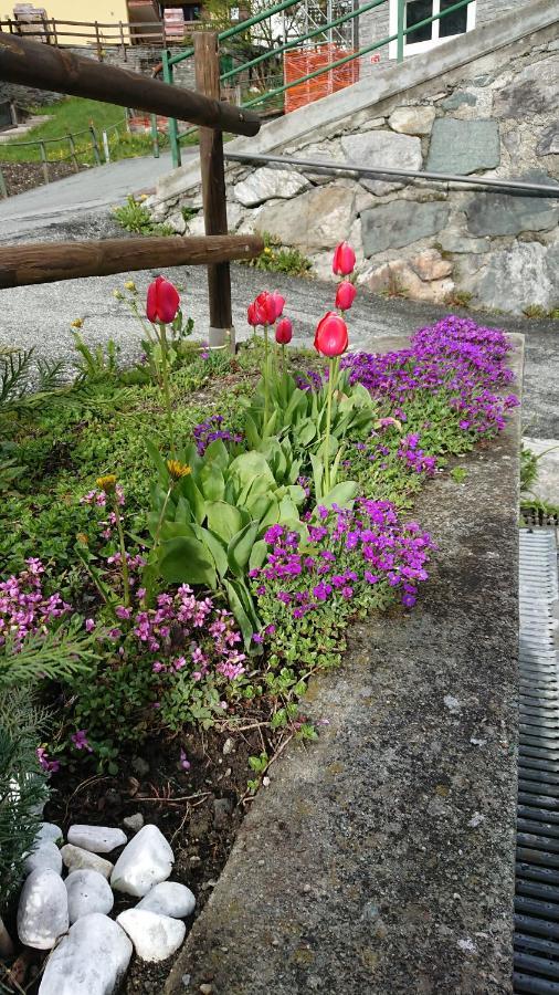 B&B Maison Odille Valtournenche Dış mekan fotoğraf