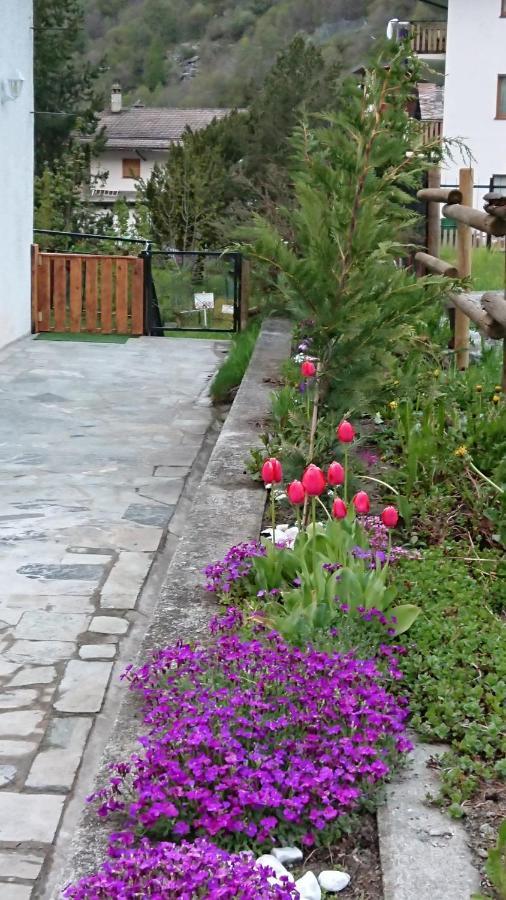 B&B Maison Odille Valtournenche Dış mekan fotoğraf