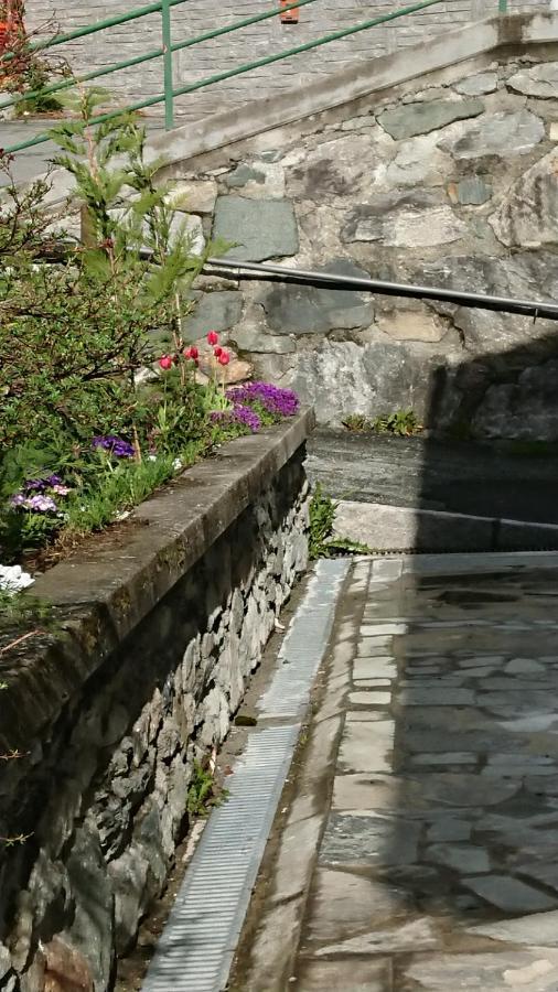 B&B Maison Odille Valtournenche Dış mekan fotoğraf