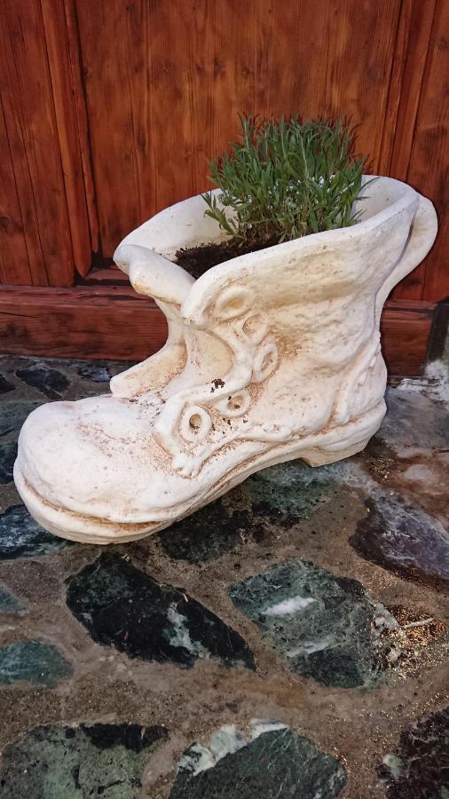 B&B Maison Odille Valtournenche Dış mekan fotoğraf