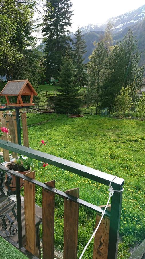 B&B Maison Odille Valtournenche Dış mekan fotoğraf